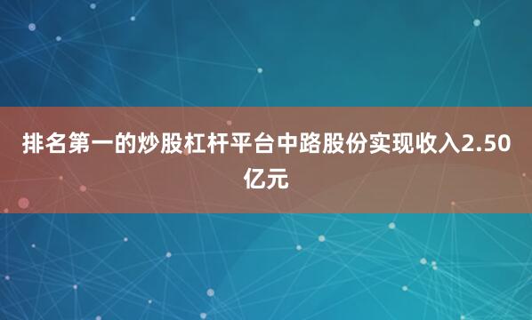 排名第一的炒股杠杆平台中路股份实现收入2.50亿元