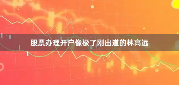 股票办理开户像极了刚出道的林高远