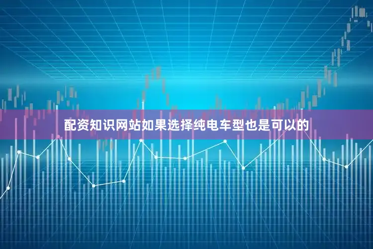 配资知识网站如果选择纯电车型也是可以的
