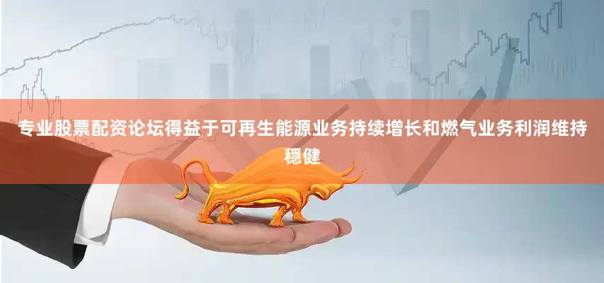 专业股票配资论坛得益于可再生能源业务持续增长和燃气业务利润维持穏健